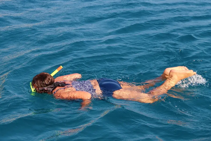 Person schnorchelt im kristallklaren blauen Wasser der Adria vor der Küste der Insel Murter und genießt die Unterwasserwelt.