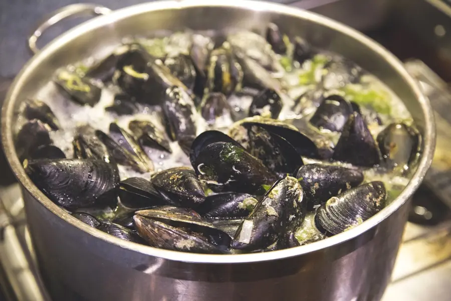 Dämpfen von Muscheln nach „Buzara“-Art in einem Topf, ein klassisches adriatisches Meeresfrüchtegericht, zubereitet mit Knoblauch, Wein und Kräutern