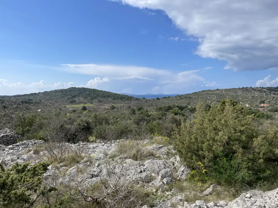 Blagi brežuljci s mediteranskim raslinjem i suhozidi pod djelomično oblačnim nebom, tipičan krajolik otoka Murtera.