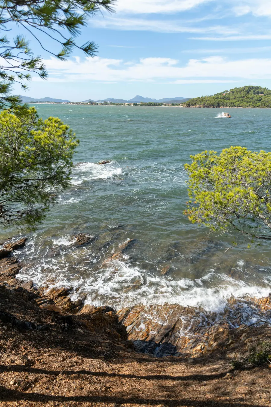 Stjenovita obala s valovima koji zapljuskuju stijene, uokvirena borovim granama, s pogledom na slikovitu obalu i brda u daljini
