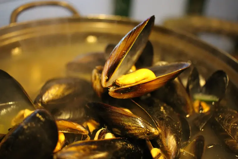 Close-up of steamed mussels in a pot, with one shell open revealing the cooked seafood inside.