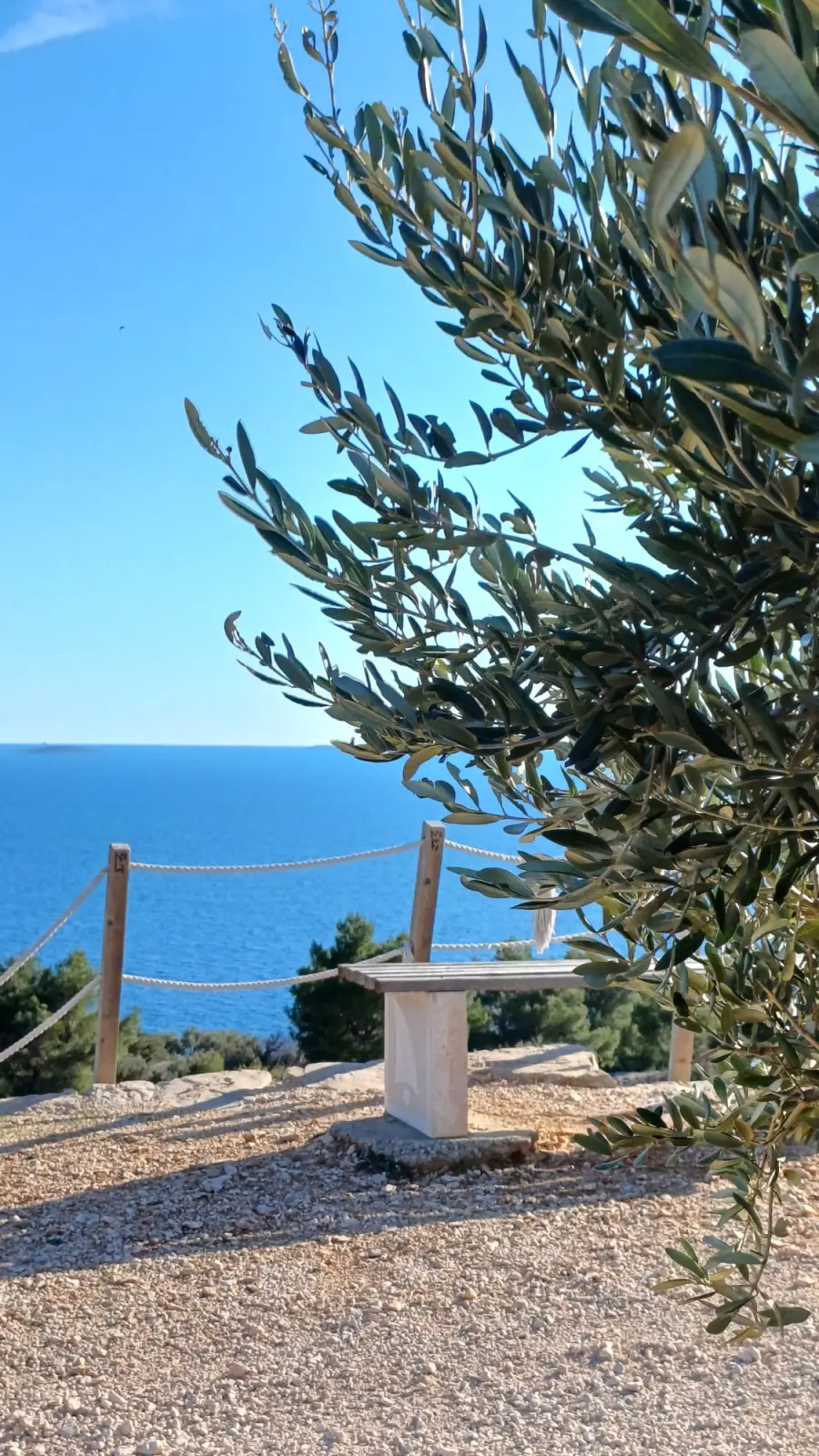 Holzbank mit Blick auf das Meer. Neben der Bank steht ein Olivenbaum.